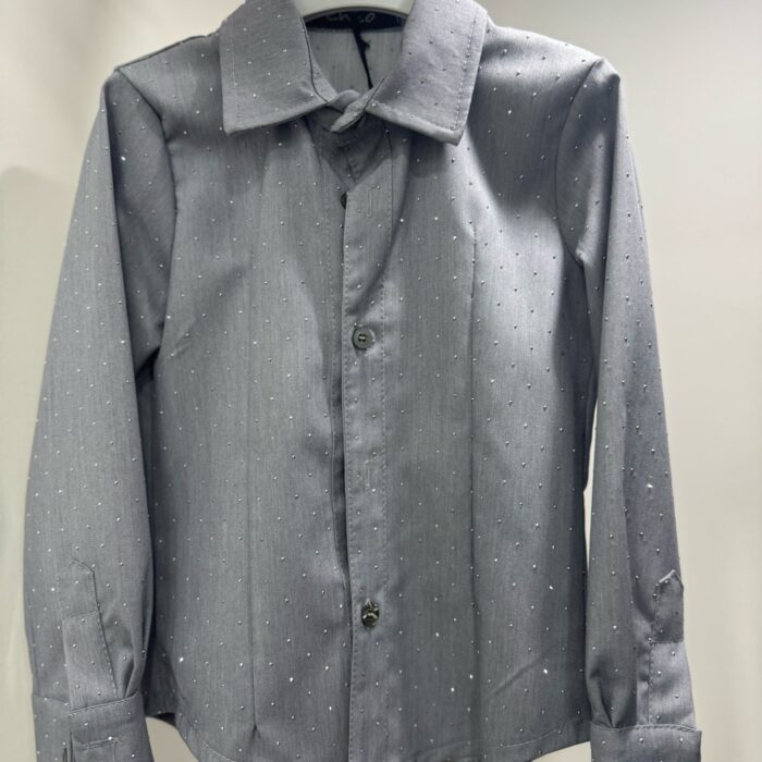 Camicia Brillantinata